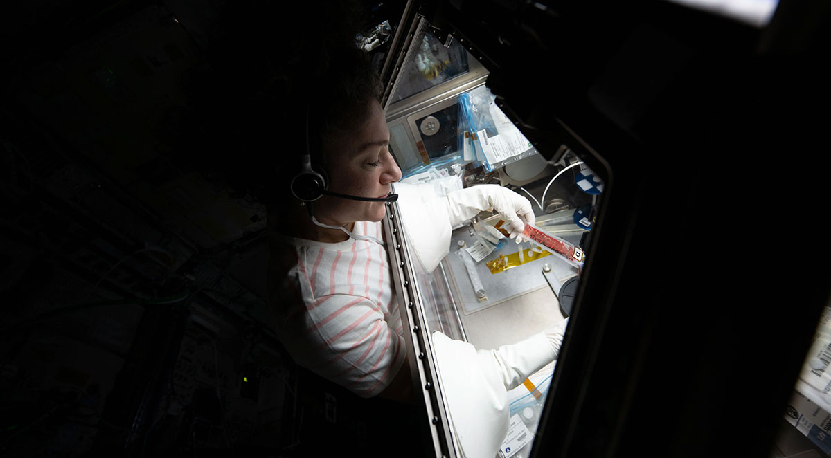 Growing Stem Cells in Space to Improve Cancer and Disease Treatments