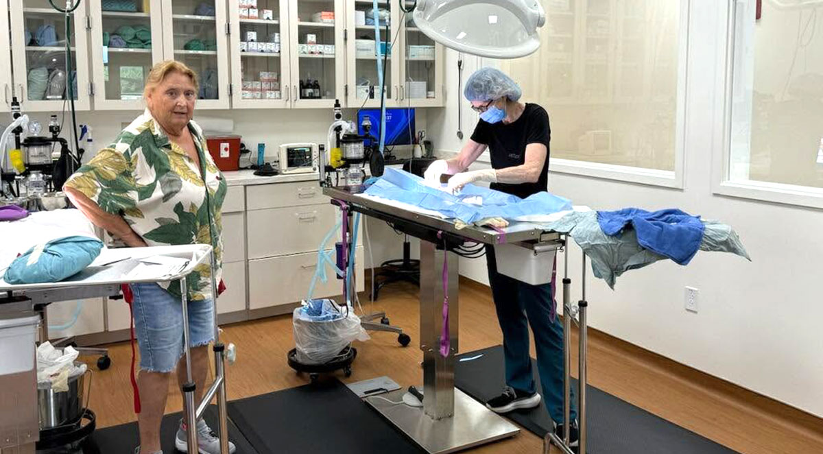 Space Coast Feline Network Helps More Than 50 Cats During Spay and Neuter Clinic in Brevard