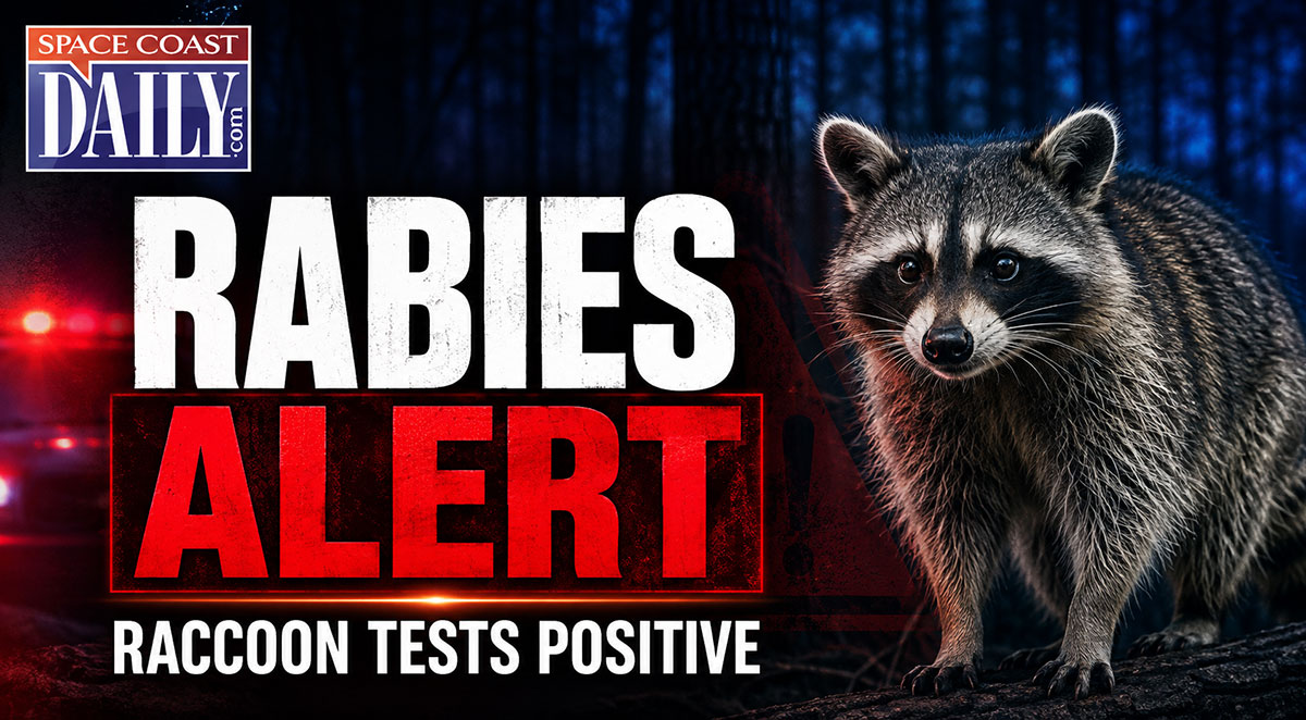 Florida Department of Health in Brevard County Issues Rabies Alert After Raccoon Tests Positive in Melbourne