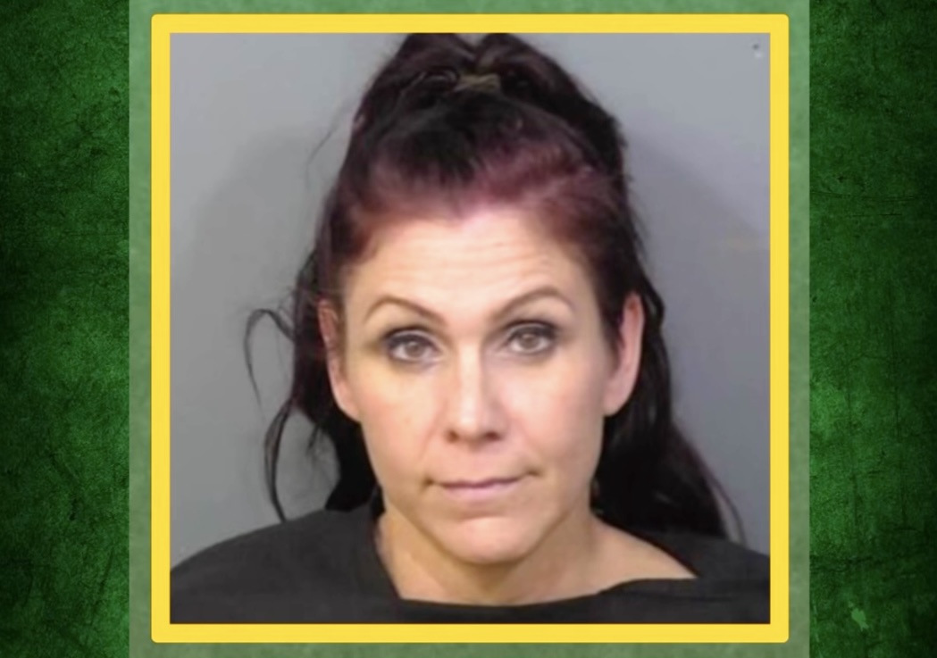 BCSO Wheel of Fugitive: Arwyn Denise Holmes, 48, Wanted on Violation of Probation Grand Theft of Motor Vehicle